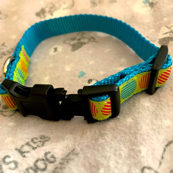Small Dog Collar NWOT - Picture 5 of 5